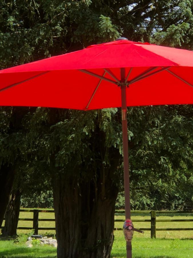 Le Domaine D'Olene Bed & Breakfast Le Pin  Bagian luar foto