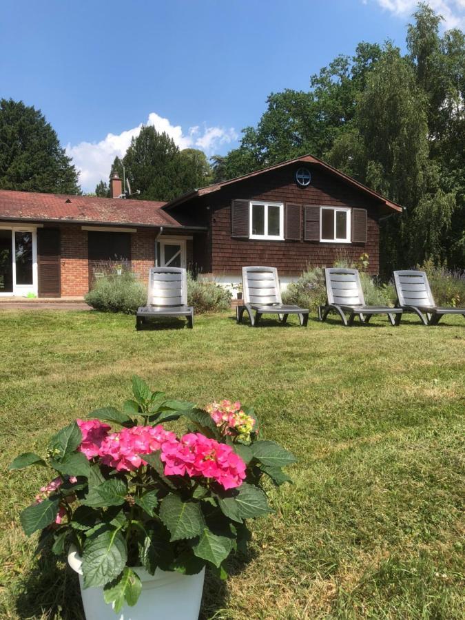 Le Domaine D'Olene Bed & Breakfast Le Pin  Bagian luar foto