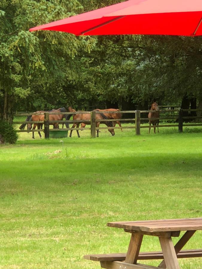 Le Domaine D'Olene Bed & Breakfast Le Pin  Bagian luar foto